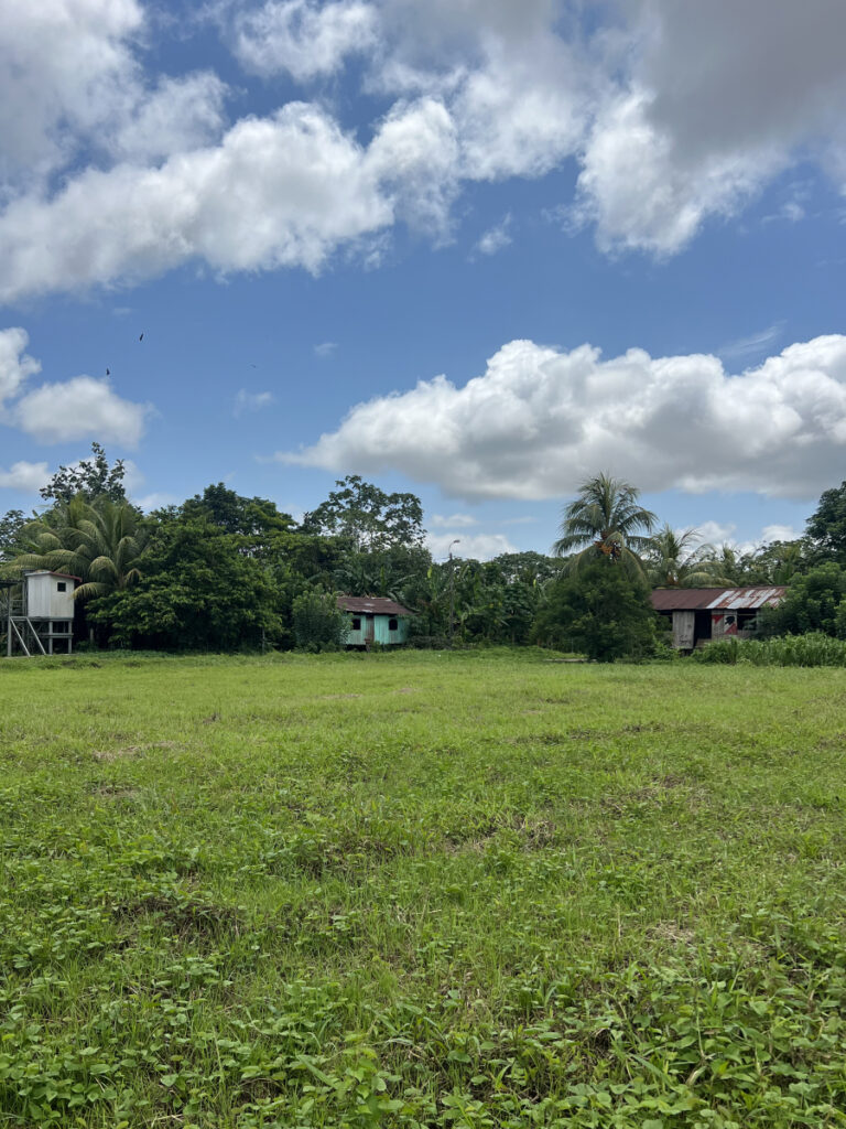 Small houses in a grassy clearing in an eco village near Iquitos, Peru, surrounded by lush jungle and palm trees.