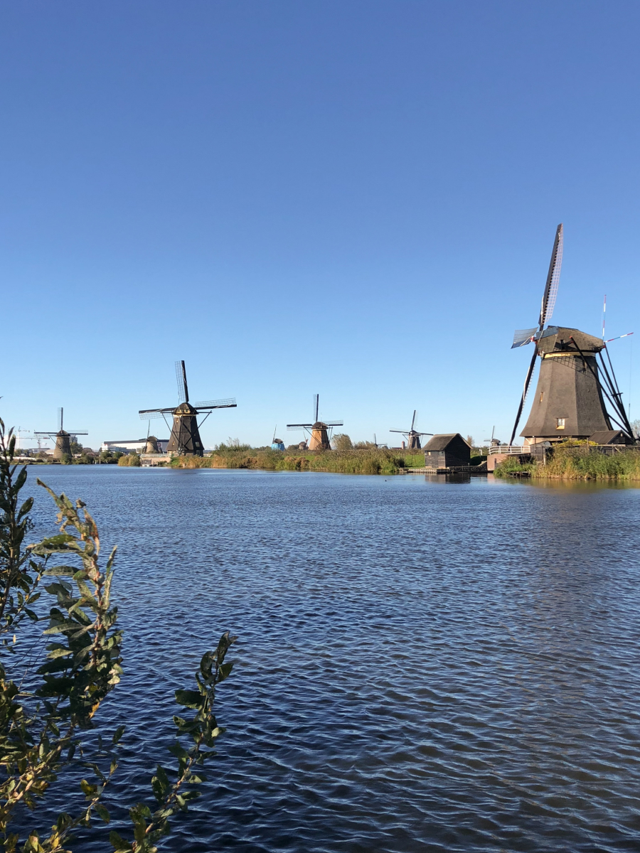 Historic windmills at Kinderdijk along the canal on a clear blue sky day — a top day trip from Amsterdam in the Netherlands