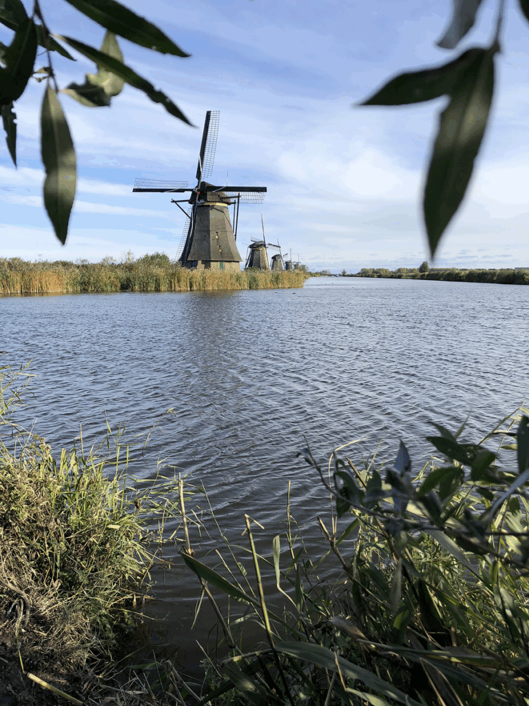 Traditional windmills along the water at Kinderdijk, a popular day trip from Amsterdam, Netherlands