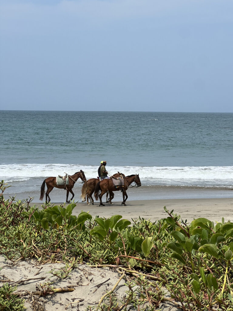 Man leading horses along the shoreline in Mancora, Peru, with ocean waves in the background.