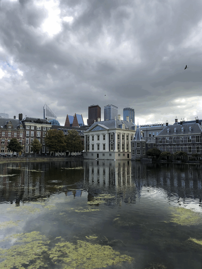 Mauritshuis museum and Dutch government buildings reflected in the Hofvijver lake in The Hague, Netherlands, with modern skyline in the background
