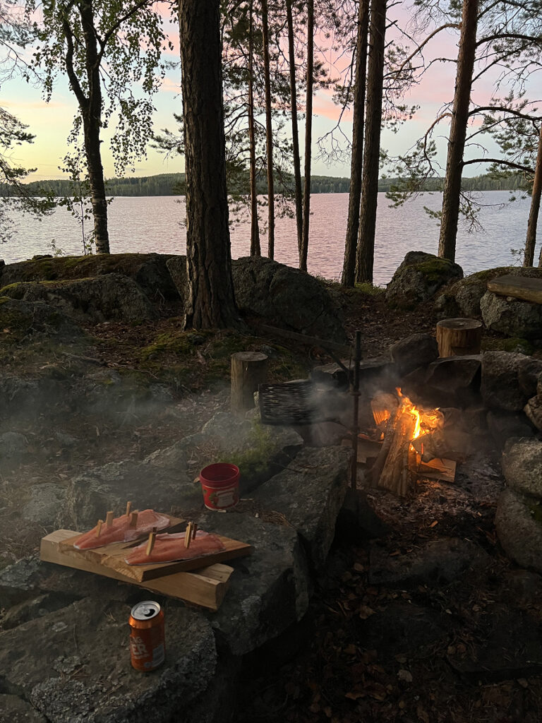 Bonfire at sunset by a Finnish lake with freshly caught salmon cooking on wooden planks.