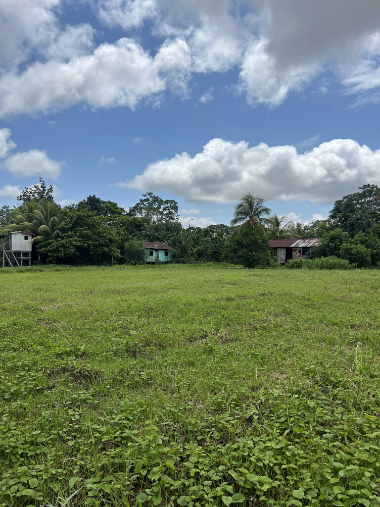 View of small houses in an eco village near Nauta in the Peruvian Amazon surrounded by greenery
