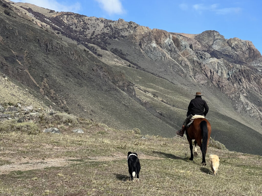 Horseback riding guide in El Chaltén leading a horse with two dogs along Patagonian mountain trails